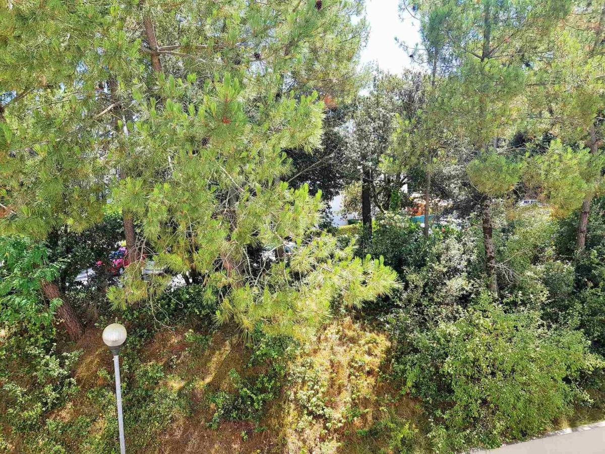 Appartement 2 Pieces A 300M De La Plage Avec Balcon Ensoleille A Saint-Georges-De-Didonne - Fr-1-550-48 외부 사진